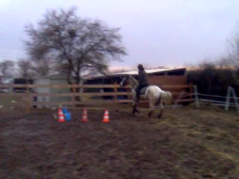 sego saut
