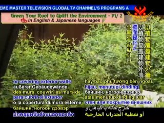 Green Your Roof to Uplift the Environment - P1/2