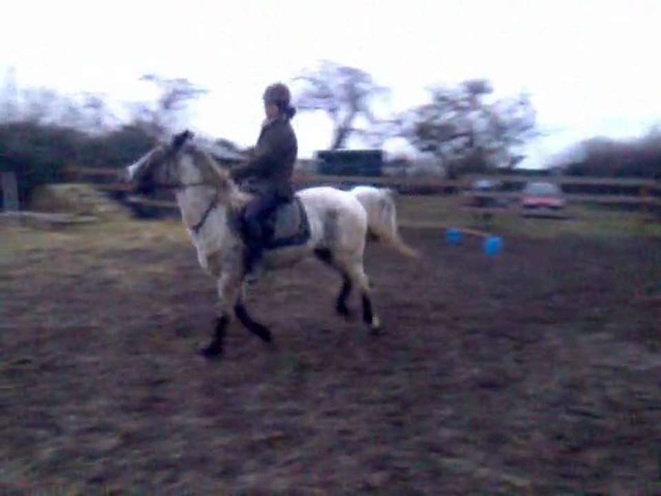 trot et galop obstacle