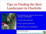 Charlotte Landscaper, Charlotte Lawn Care, Charlotte Grass