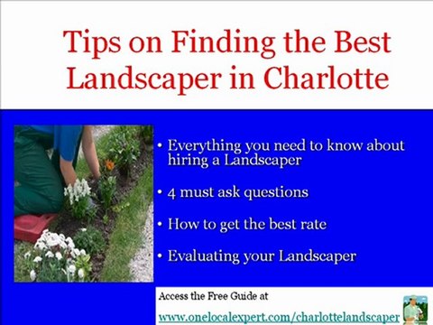 Charlotte Landscaper, Charlotte Lawn Care, Charlotte Grass