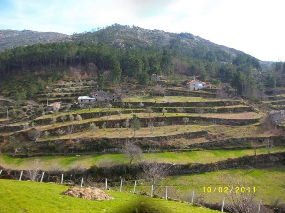 VÍDEO EM 10 DE FEVEREIRO DE 2011