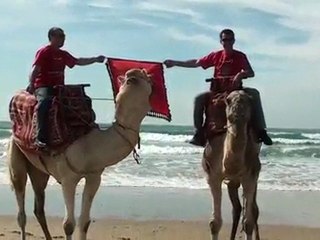 touche pas à mon maroc  ماتقيــش بــلادي "omajil"