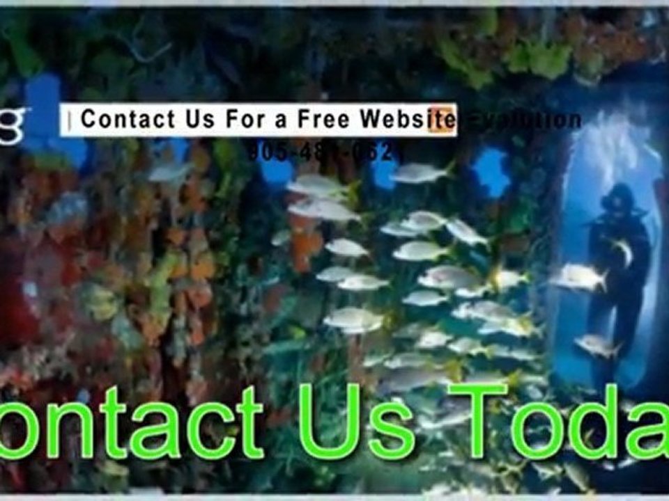 Marketing Hamilton and Local Hamilton SEO