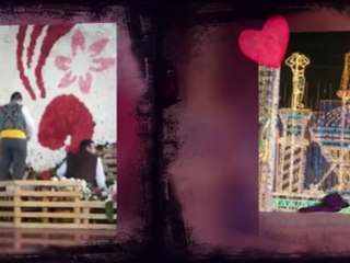 FESTIVIDAD DE LA PATRONA DE VALENCIA EN EL AÑO 2010- FALLAS