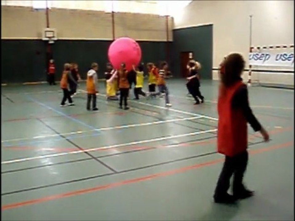 Rencontre autour du Kinball à Laval