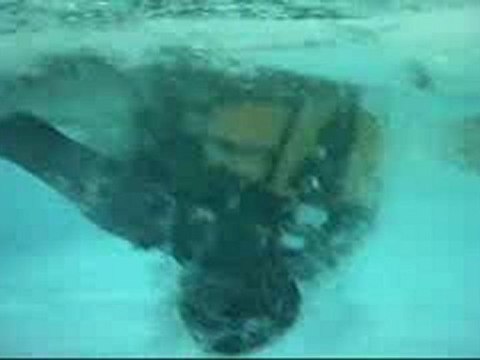 dannys mad swim