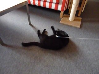 Le Jouet diabolique vu par Charly