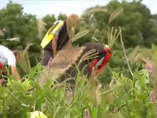 Making of the Andrew Taylor's Marin Ad (Adiridas African Safari)