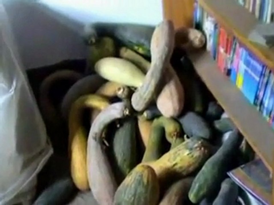 Chinese dissident complains of 'brutal' regime