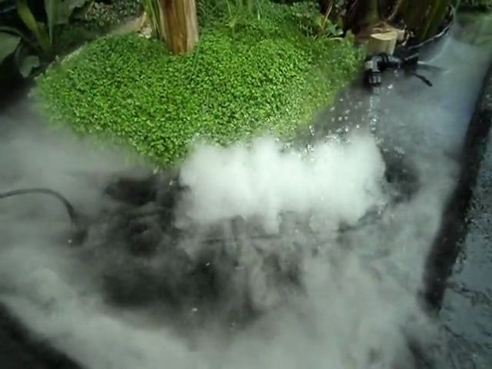 MOV00268