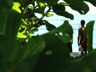 Surf :  A Journey to somewhere Island - "Mad Max"