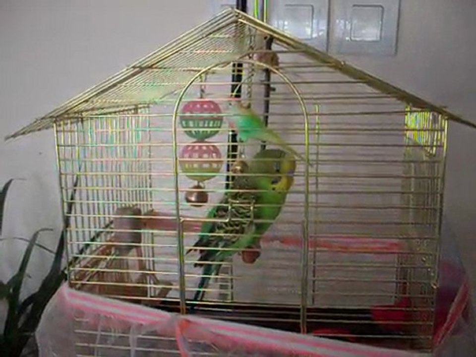 Evde Muhabbetli Anlar :)