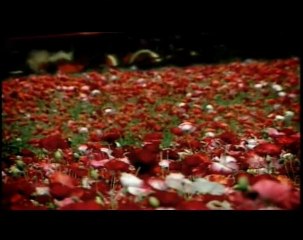 Джанго - Промо-видео
