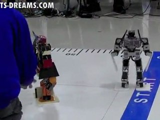 Wonderful Robot Carnival: Final Battle