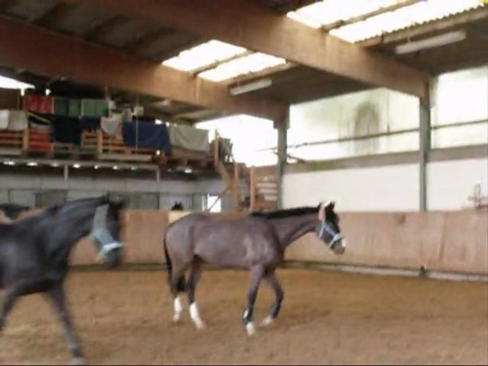 indian prince und Wonderful Boy