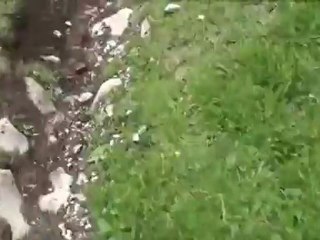 Downhill Mountain Bike in Innsbruck Tirol - Nordkette Singletrail is open for 2010