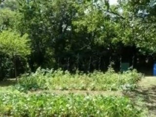 Vente - maison - La chapelle du Bois (72400)  - 90m² - 97 2