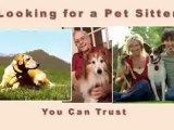 Pet Sitting New Braunfels, Dog Walking, In Home Pet Care, G