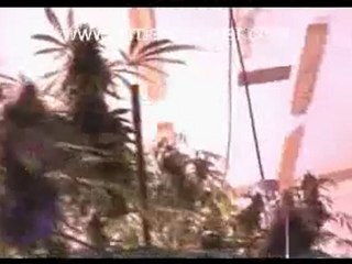 Urban Grower 44 Medi Grow