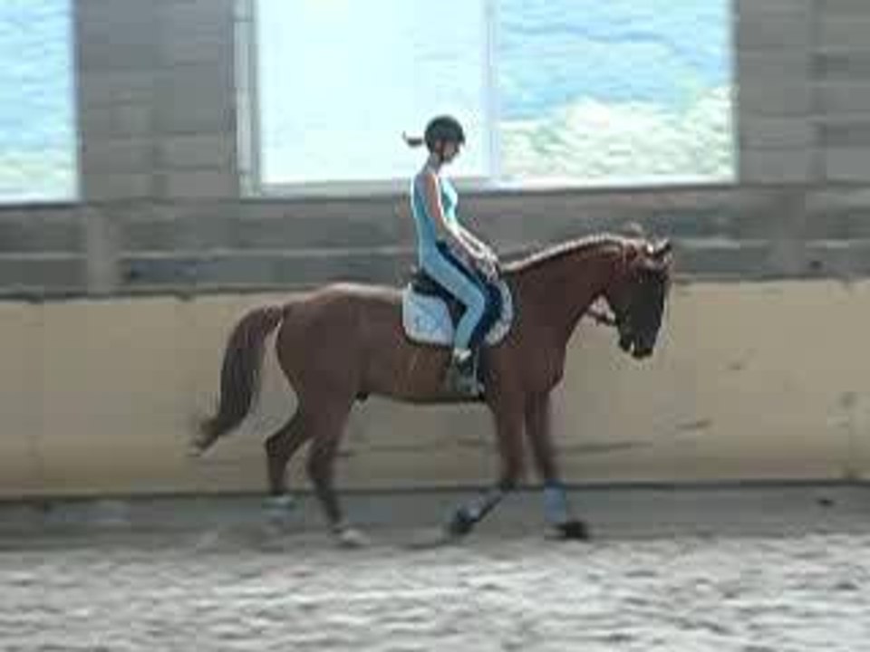 fifi trot