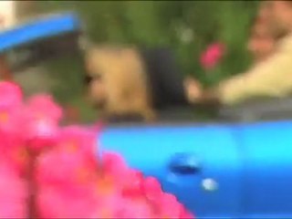 Bankowosc Kraków Wyzsza Szkola Zarzadzania i Bankowosci