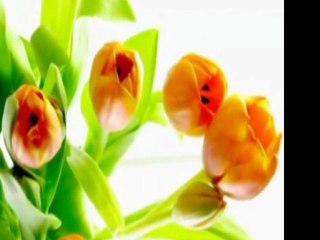 Abdulkadir Geylani (k.s)-Hırsızın Hidâyeti