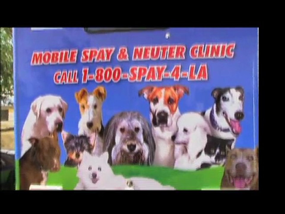 La Grange Post, Online Video Production Los Angeles