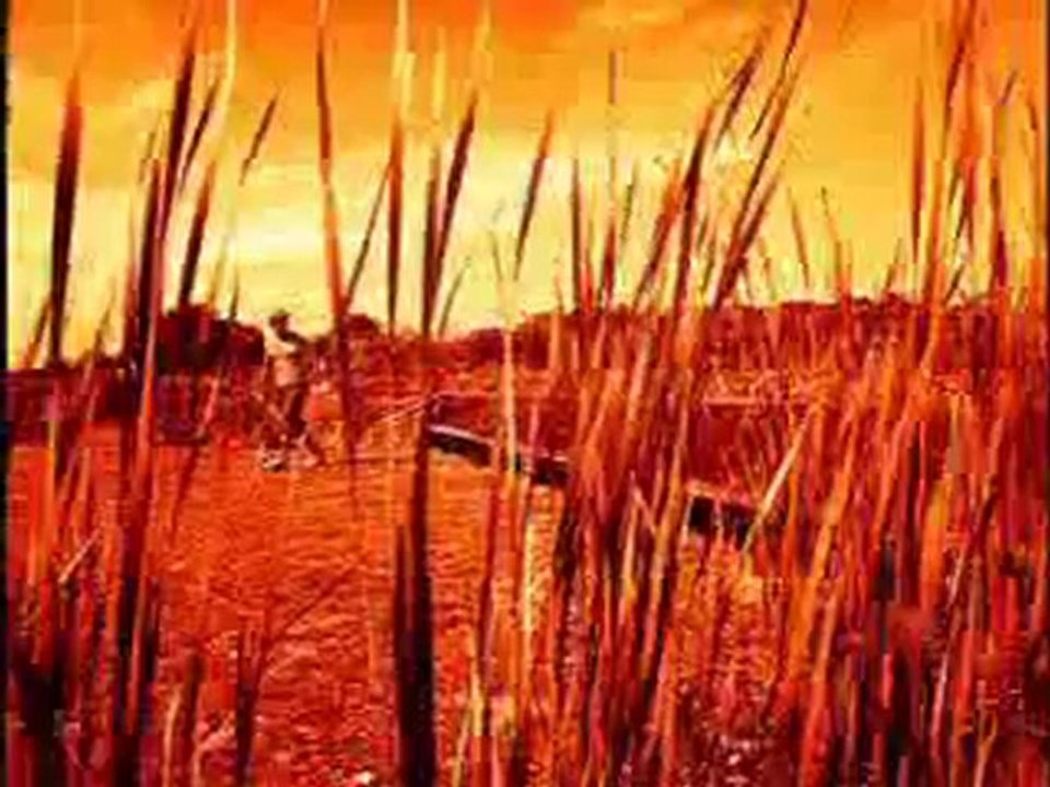 Free for all wakeboarding part 5