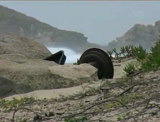 Windsurfing Sardinia