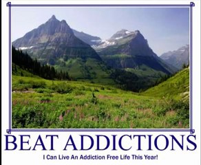 Soul MLM 2011 Resolutions Posters