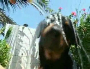 bikinis and kiteboarding