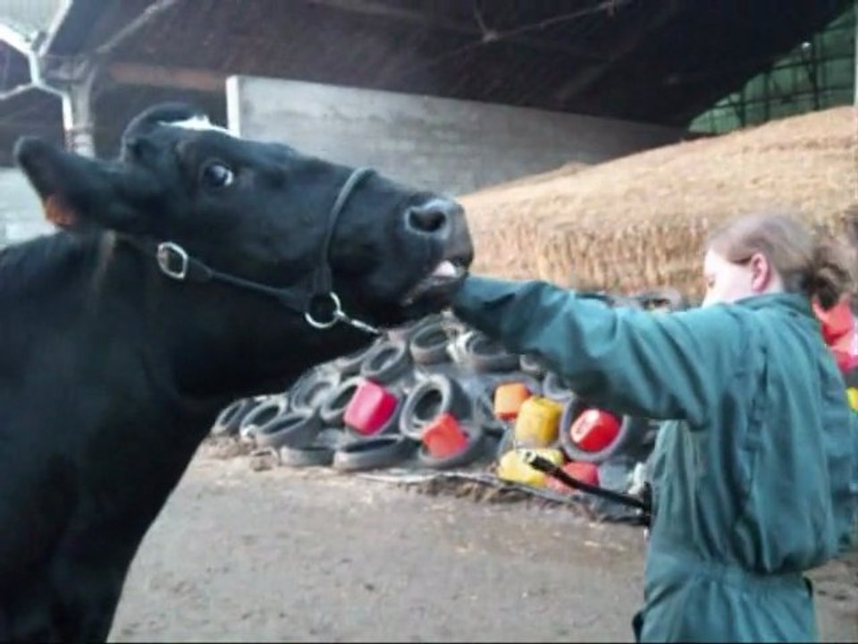 Le Bêtisier du Trophée des Lycées