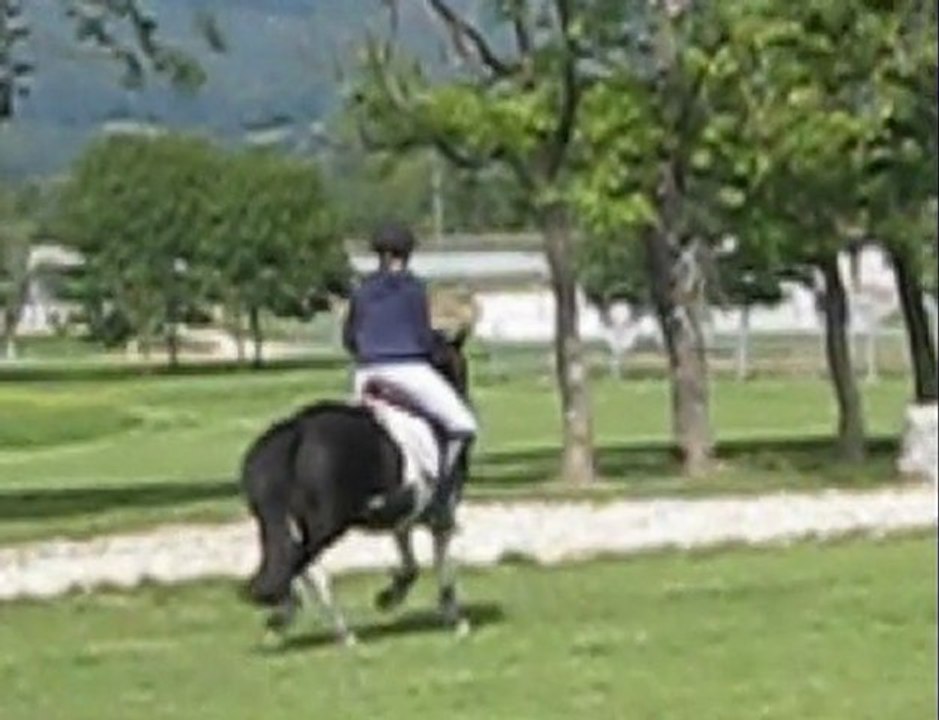 saut kelly