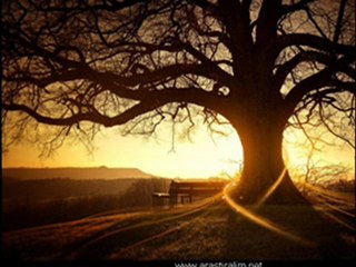 Erkan Oğur_Ey zahit şaraba eyle ihtiram