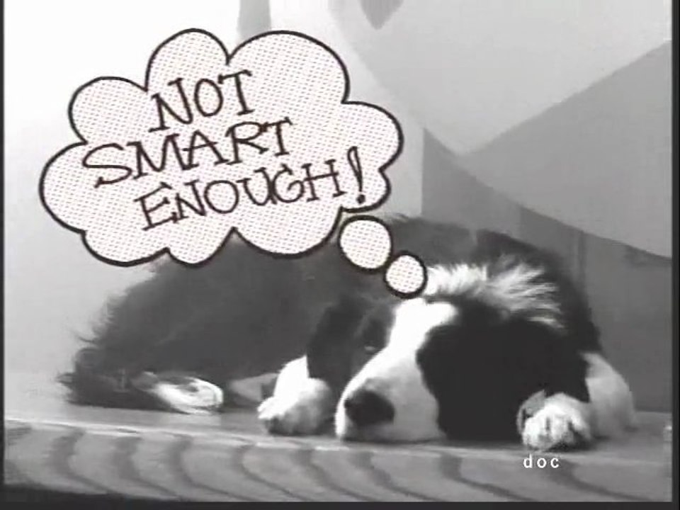 Shrunk