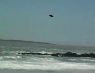 Kevin Langeree Big Air