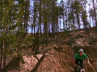 Dreamland Jam Mountain Bike