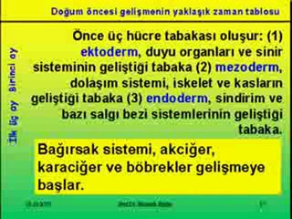 Doğum Öncesi Gelişim