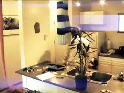 TELUS World Ski and Snowboard Festival: The Ultimate Afterparty: