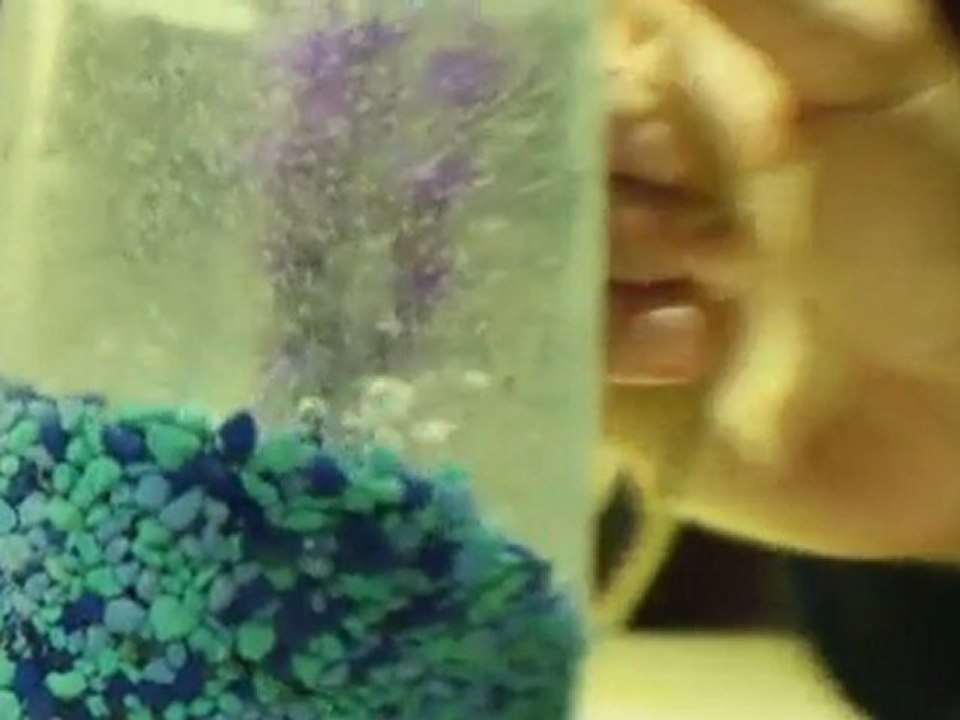 Ep. 32 Caswell Berry & Zumiez Couch Tour Captain Coyne