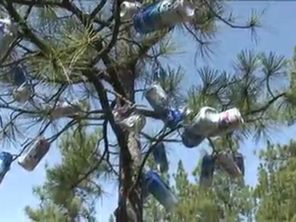 MTB Downhill Highlights from Double Down Hoe Down 2010 at Beacon Hill, Spokane