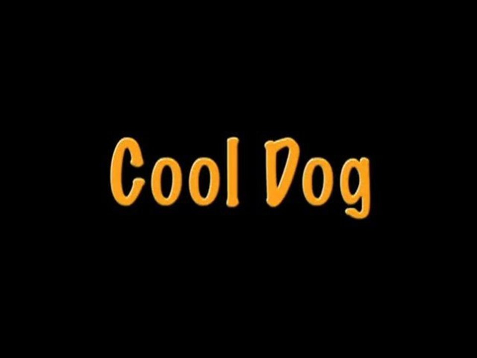 Cool Dog