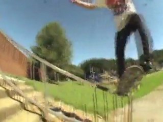 ZOO YORK FIELD AGENT REPORT VIDEO