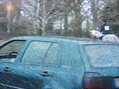 CCE Aubigny le 06.02.11 Dressage