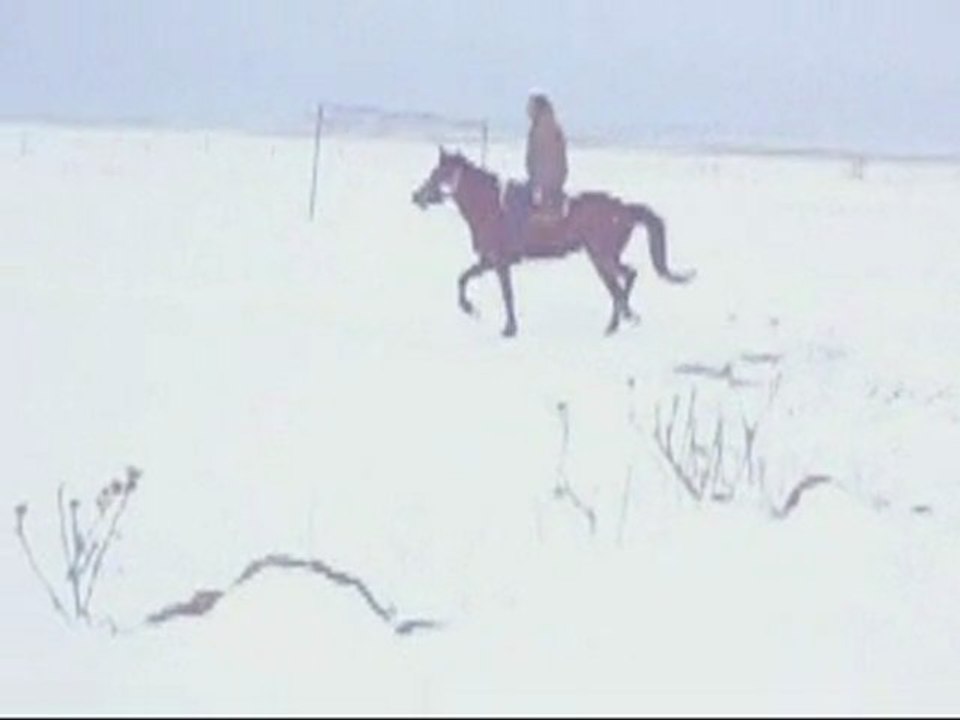 orakilisede  at binme  ve yol açma çalışması