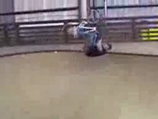 Kelly Bolton - Fakie Front Flip Flair