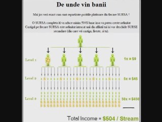 Bani pe internet cu BeaManager