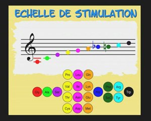l'influence positive de la musique sur les plantes