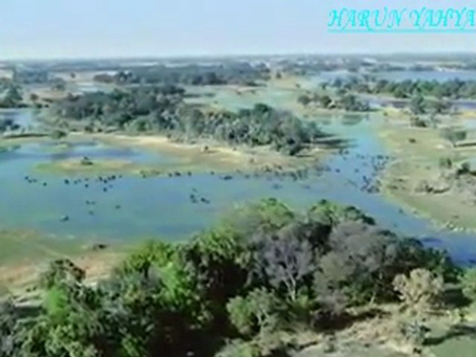 KUSURSUZLUK